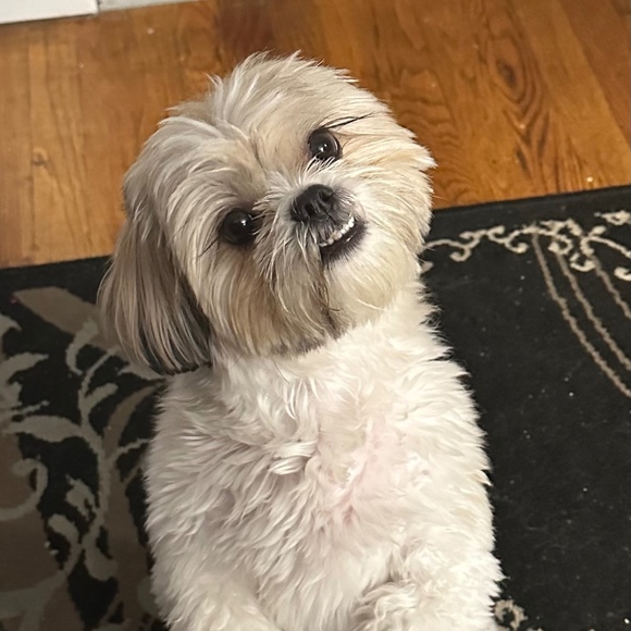 Meet your Posher, Felisa - Picture 1 of 1